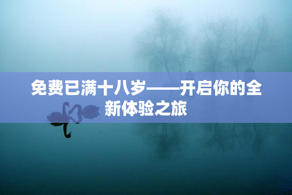 免费已满十八岁——开启你的全新体验之旅