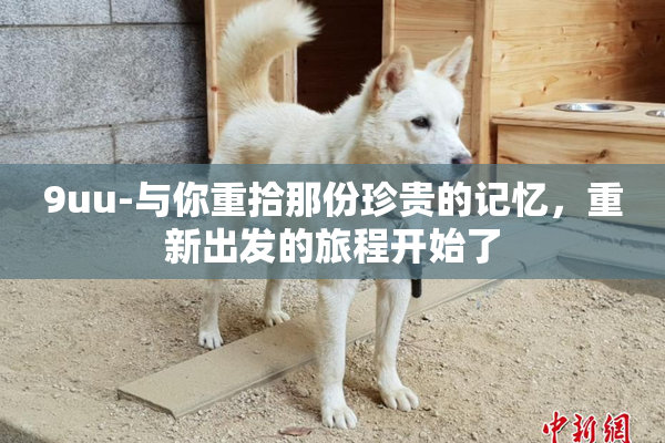 9uu-与你重拾那份珍贵的记忆，重新出发的旅程开始了
