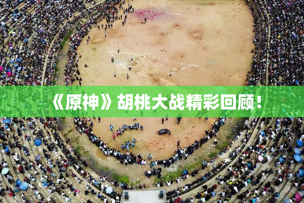 《原神》胡桃大战精彩回顾！