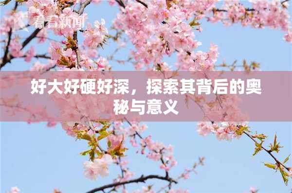 好大好硬好深，探索其背后的奥秘与意义