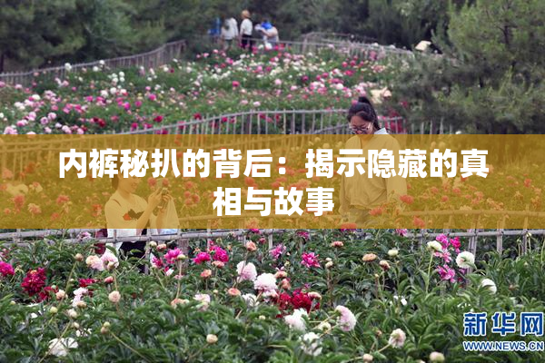 内裤秘扒的背后：揭示隐藏的真相与故事