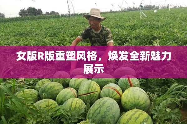 女版R版重塑风格，焕发全新魅力展示