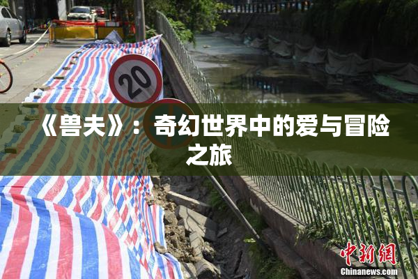 《兽夫》：奇幻世界中的爱与冒险之旅