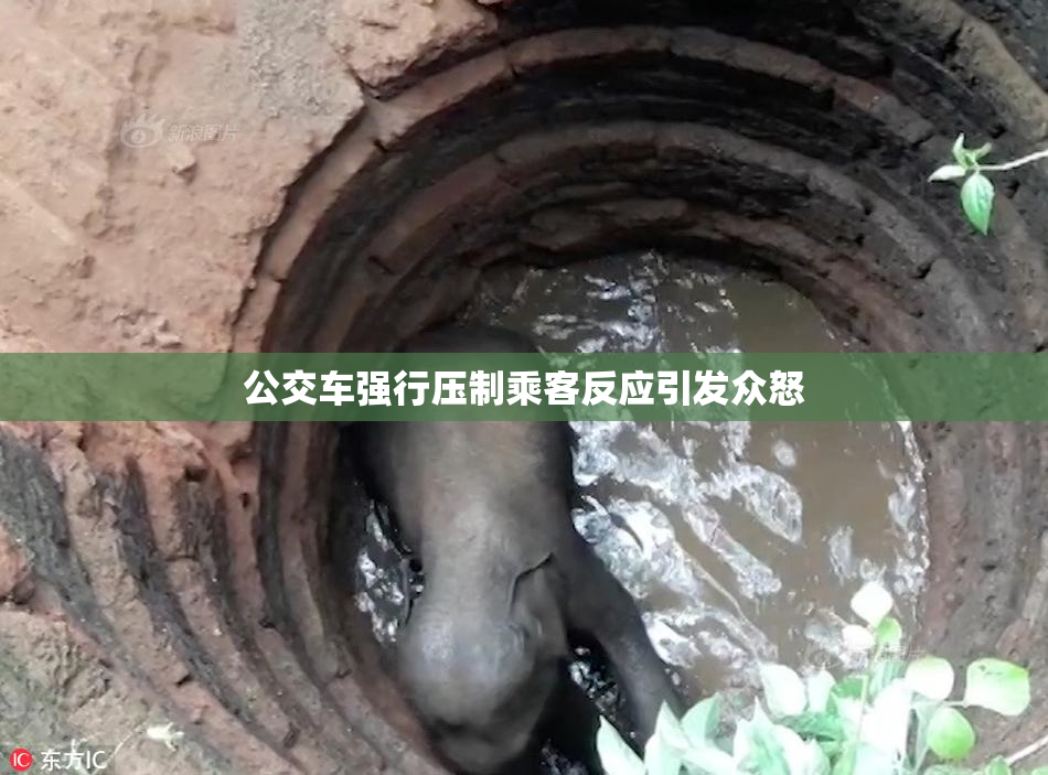 公交车强行压制乘客反应引发众怒