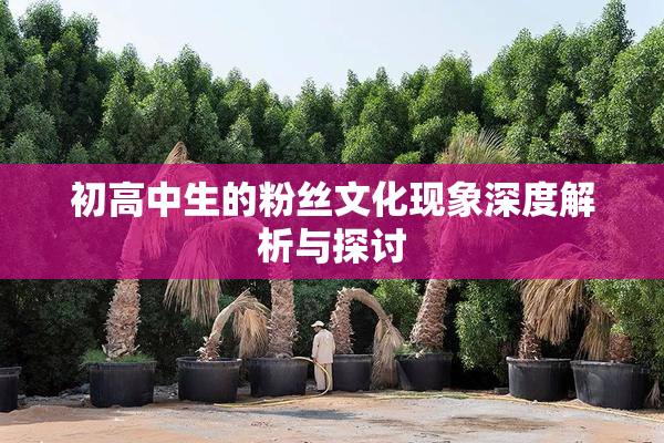 初高中生的粉丝文化现象深度解析与探讨