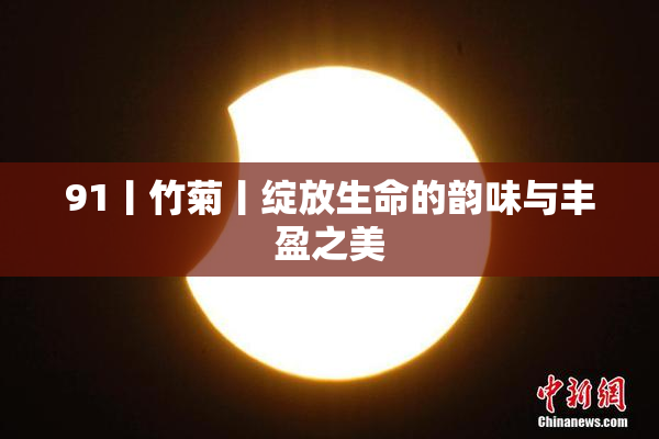 91丨竹菊丨绽放生命的韵味与丰盈之美