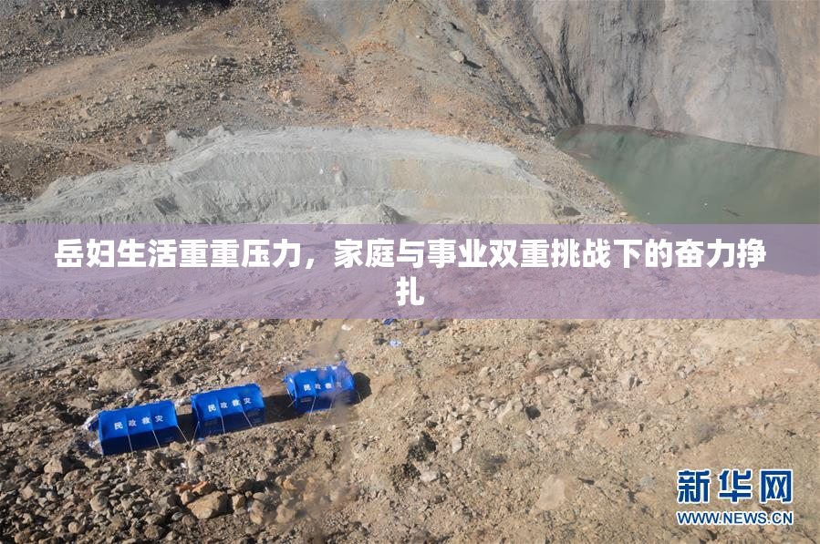 岳妇生活重重压力，家庭与事业双重挑战下的奋力挣扎
