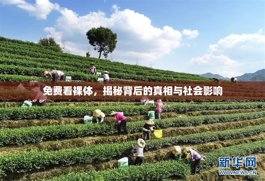 免费看裸体，揭秘背后的真相与社会影响