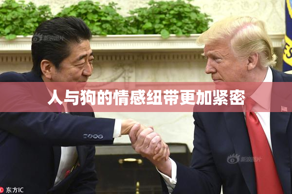人与狗的情感纽带更加紧密