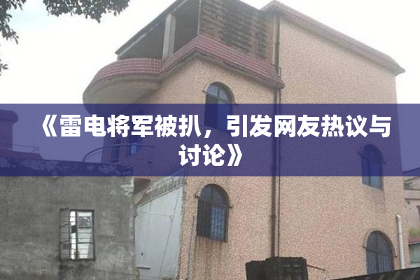《雷电将军被扒，引发网友热议与讨论》