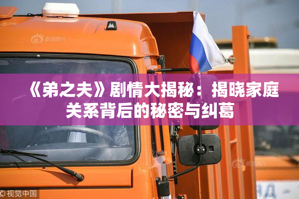 《弟之夫》剧情大揭秘：揭晓家庭关系背后的秘密与纠葛