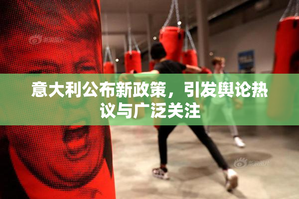 意大利公布新政策，引发舆论热议与广泛关注