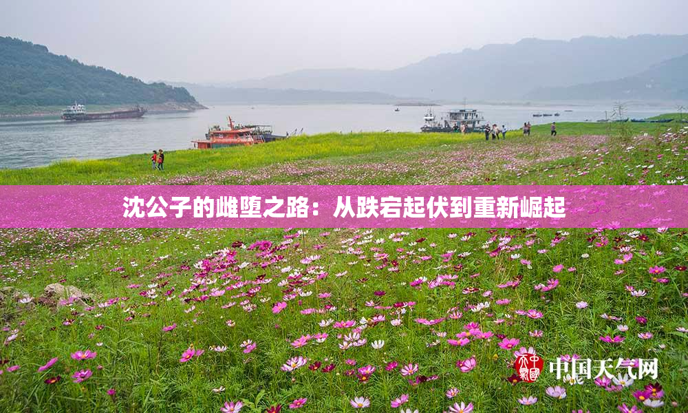 沈公子的雌堕之路：从跌宕起伏到重新崛起