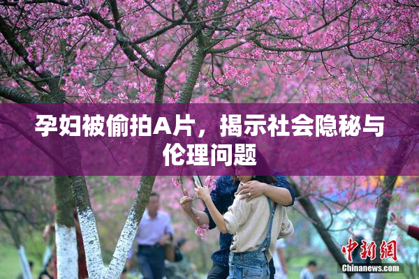 孕妇被偷拍A片，揭示社会隐秘与伦理问题