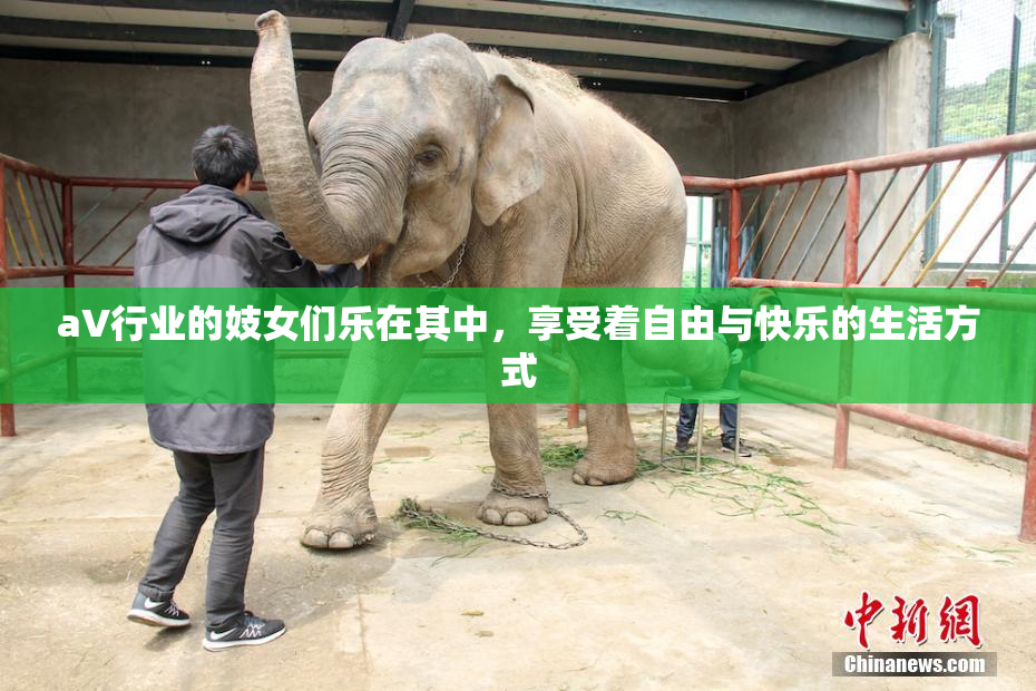 aV行业的妓女们乐在其中，享受着自由与快乐的生活方式