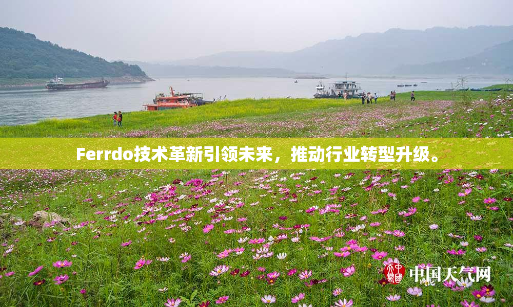 Ferrdo技术革新引领未来，推动行业转型升级。