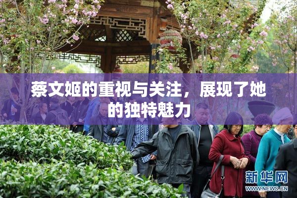 蔡文姬的重视与关注，展现了她的独特魅力