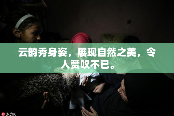 云韵秀身姿，展现自然之美，令人赞叹不已。