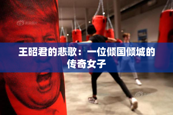 王昭君的悲歌：一位倾国倾城的传奇女子