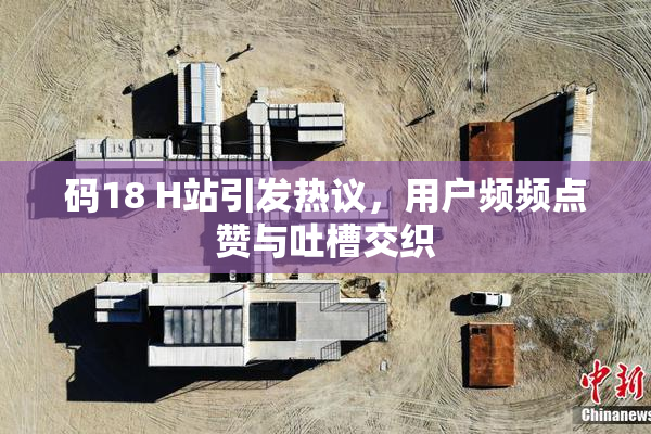 码18 H站引发热议，用户频频点赞与吐槽交织