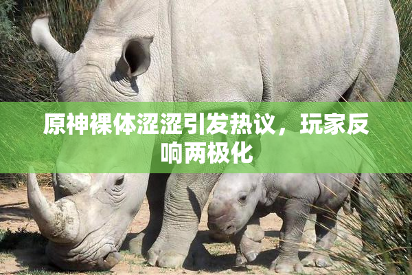 原神裸体涩涩引发热议，玩家反响两极化