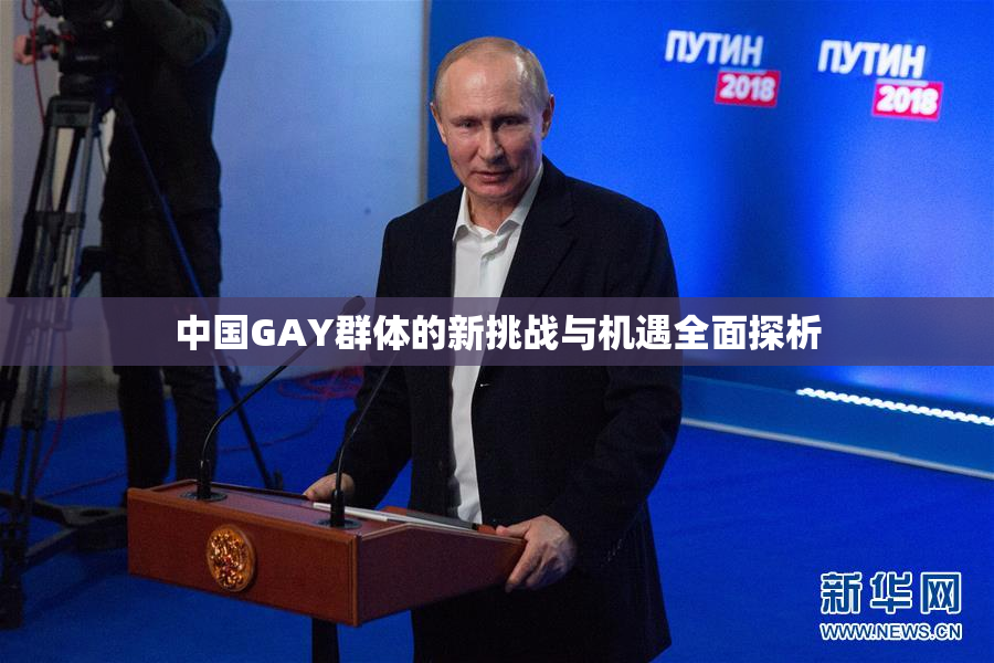 中国GAY群体的新挑战与机遇全面探析