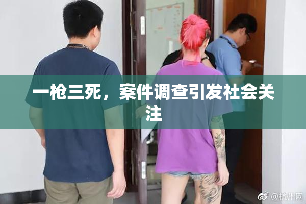 一枪三死，案件调查引发社会关注