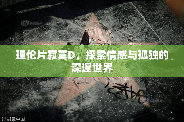 理伦片寂寞D，探索情感与孤独的深邃世界