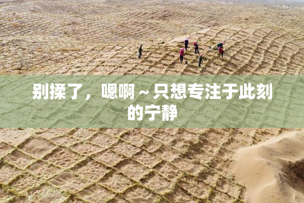 别揉了，嗯啊～只想专注于此刻的宁静
