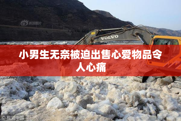 小男生无奈被迫出售心爱物品令人心痛