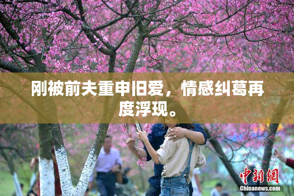 刚被前夫重申旧爱，情感纠葛再度浮现。