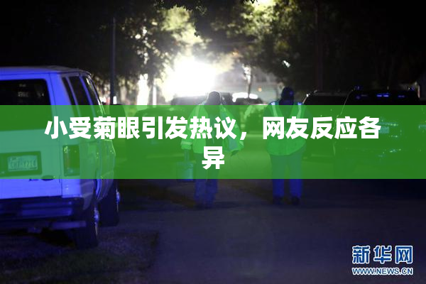 小受菊眼引发热议，网友反应各异