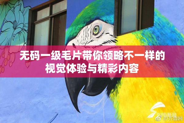 无码一级毛片带你领略不一样的视觉体验与精彩内容