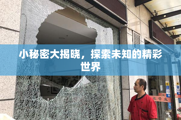 小秘密大揭晓，探索未知的精彩世界