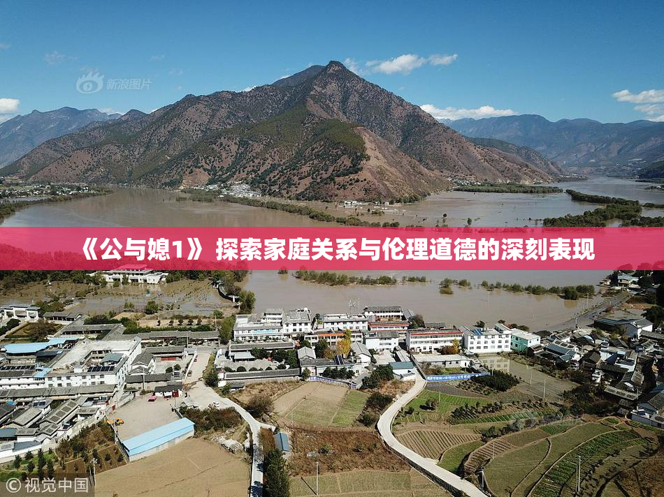 《公与媳1》 探索家庭关系与伦理道德的深刻表现