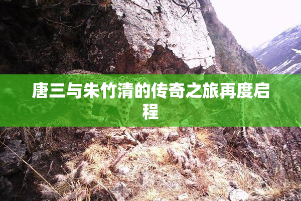 唐三与朱竹清的传奇之旅再度启程