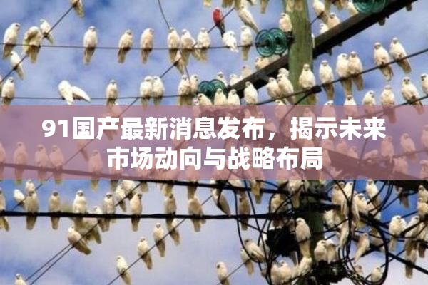 91国产最新消息发布，揭示未来市场动向与战略布局