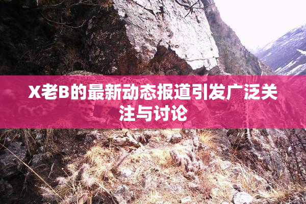 X老B的最新动态报道引发广泛关注与讨论