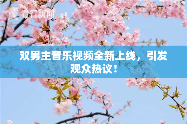 双男主音乐视频全新上线，引发观众热议！