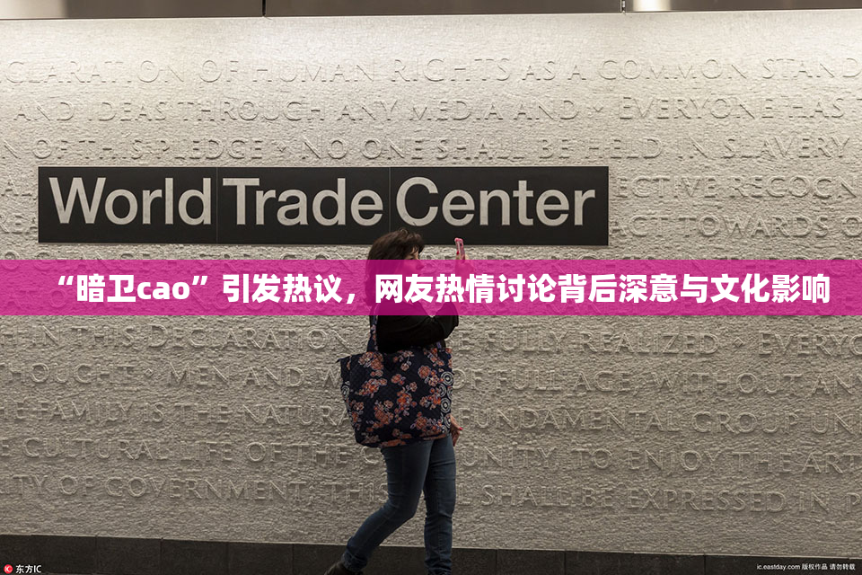 “暗卫cao”引发热议，网友热情讨论背后深意与文化影响