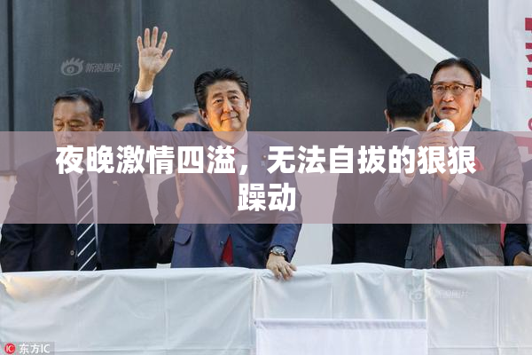 夜晚激情四溢，无法自拔的狠狠躁动