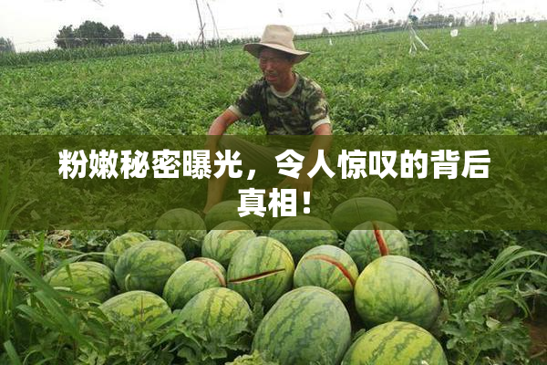 粉嫩秘密曝光，令人惊叹的背后真相！