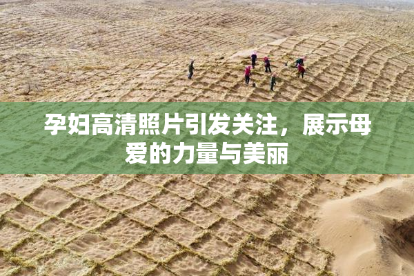 孕妇高清照片引发关注，展示母爱的力量与美丽