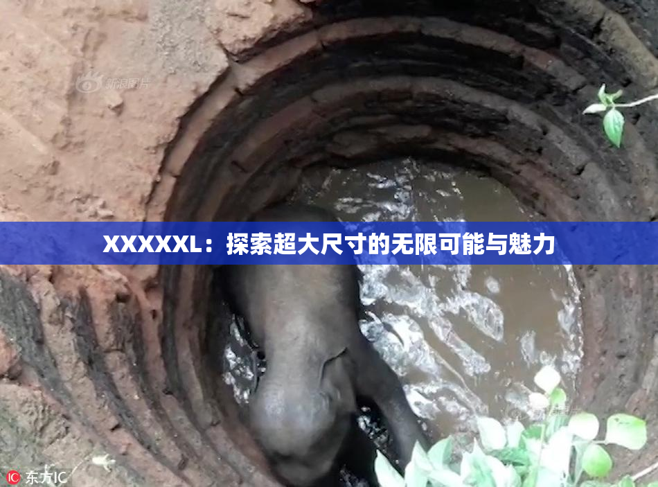 XXXXXL：探索超大尺寸的无限可能与魅力