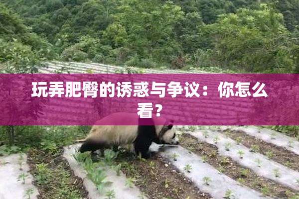 玩弄肥臀的诱惑与争议：你怎么看？