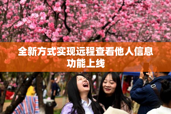 全新方式实现远程查看他人信息功能上线