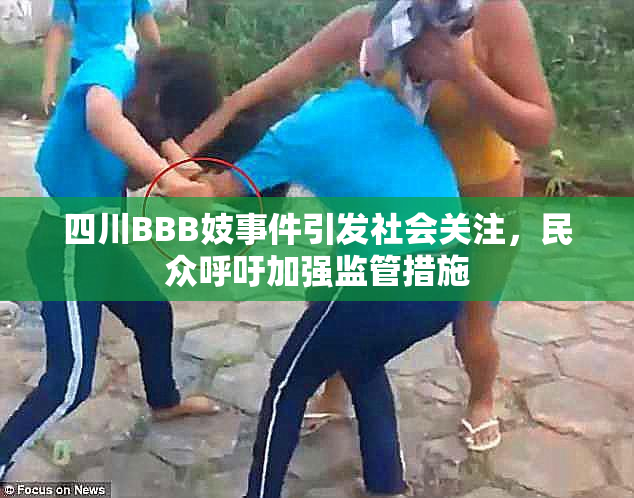 四川BBB妓事件引发社会关注，民众呼吁加强监管措施
