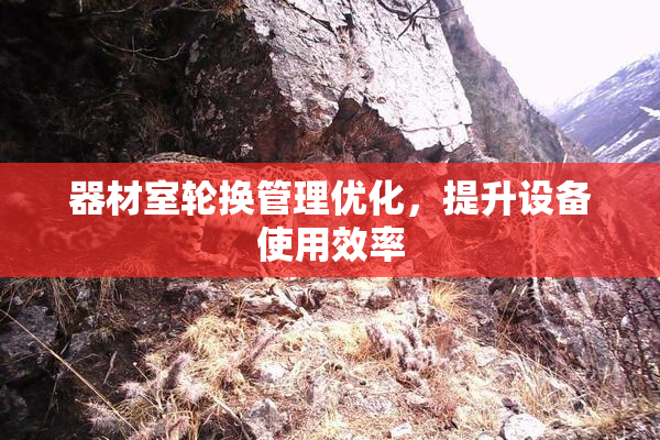 器材室轮换管理优化，提升设备使用效率
