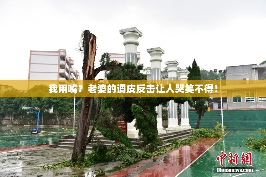 我用嘴？老婆的调皮反击让人哭笑不得！