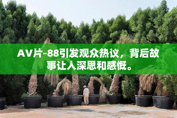 AV片-88引发观众热议，背后故事让人深思和感慨。
